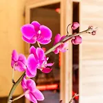 Haus Sieben - Singer Lydia Kotschach-Mauthen