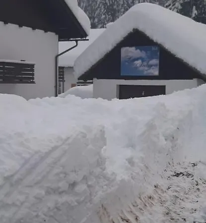 Haus Sieben - Singer Lydia Kötschach-Mauthen