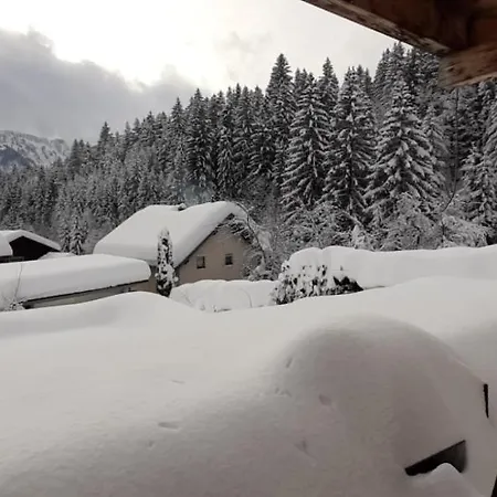 Haus Sieben - Singer Lydia Kotschach-Mauthen