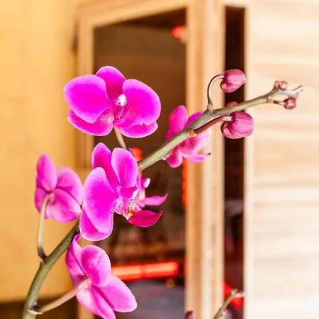 Haus Sieben - Singer Lydia Kötschach-Mauthen