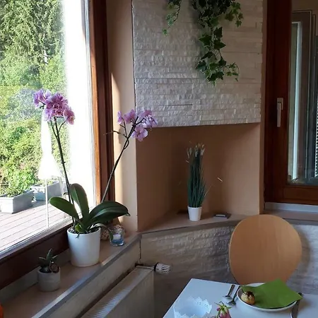 Bed & Breakfast Haus Sieben - Singer Lydia