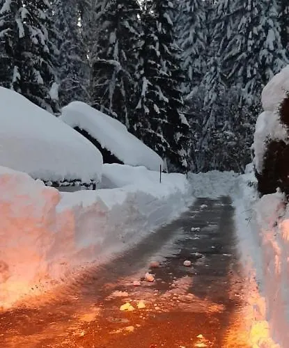 Bed & Breakfast Haus Sieben - Singer Lydia