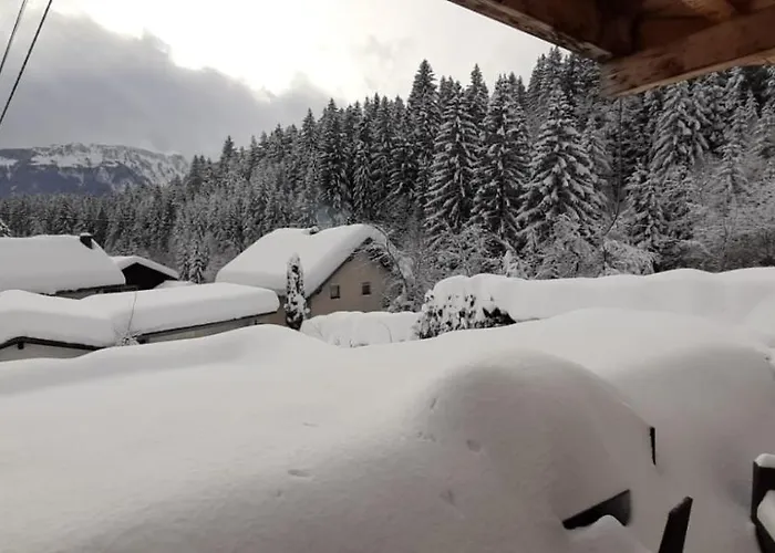 Haus Sieben - Singer Lydia Kotschach-Mauthen