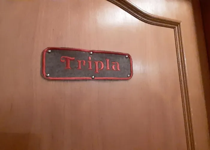 Haus Sieben - Singer Lydia