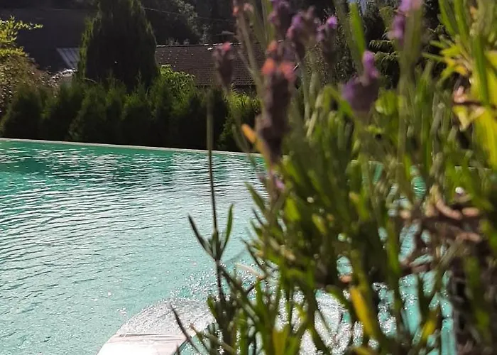 Bed & Breakfast Haus Sieben - Singer Lydia 3*