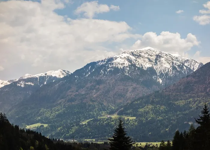 Bed & Breakfast Haus Sieben - Singer Lydia
