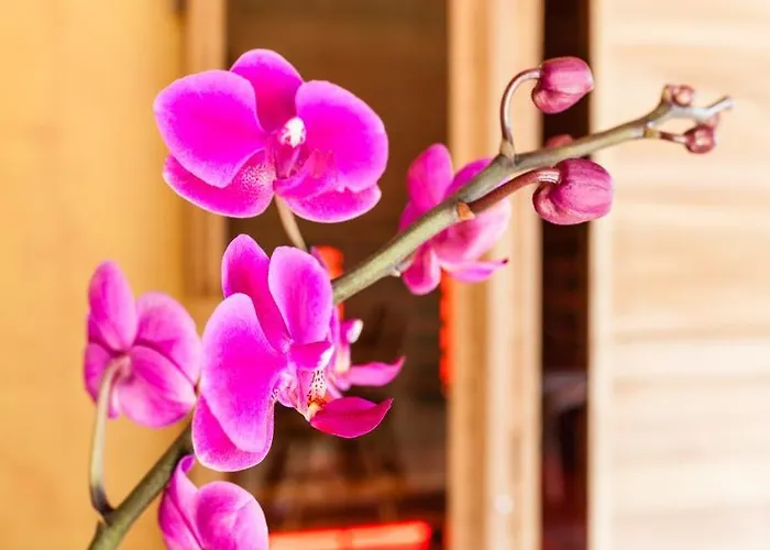 Haus Sieben - Singer Lydia Kotschach-Mauthen